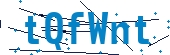 recaptcha