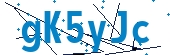 recaptcha