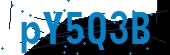 recaptcha