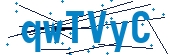 recaptcha